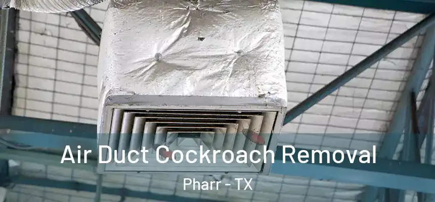Air Duct Cockroach Removal Pharr - TX