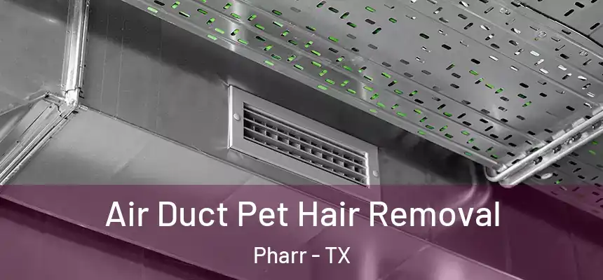 Air Duct Pet Hair Removal Pharr - TX