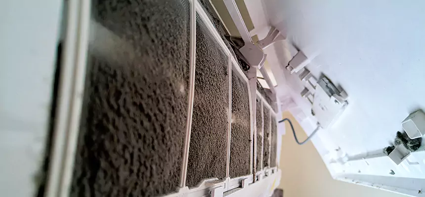 Preventive Air Duct Bacteria Removal in Pharr