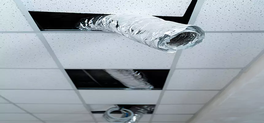 Our Air Duct Pet Hair Removal Services in Pharr, TX