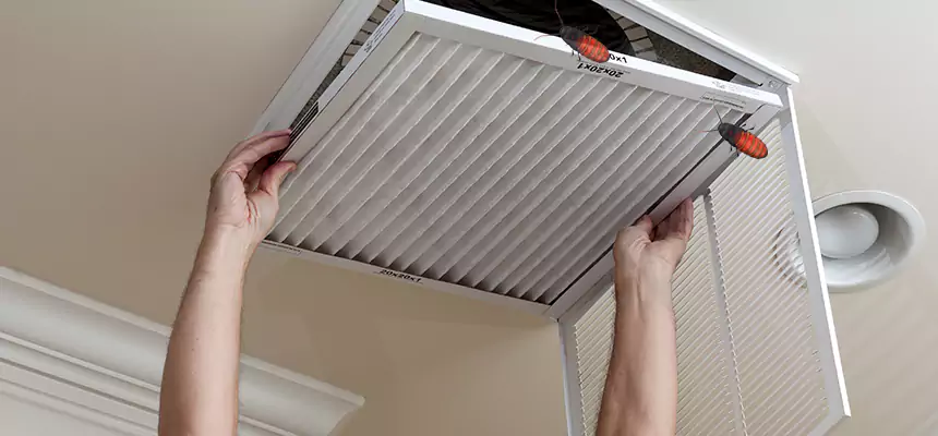 Our Insect Removal from Air Ducts Services in Pharr, TX