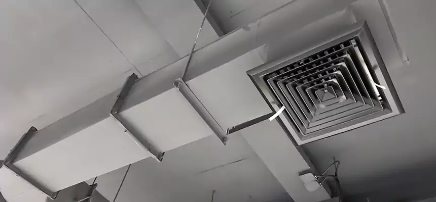 Our Pest Removal From Ducts Services in Pharr, TX