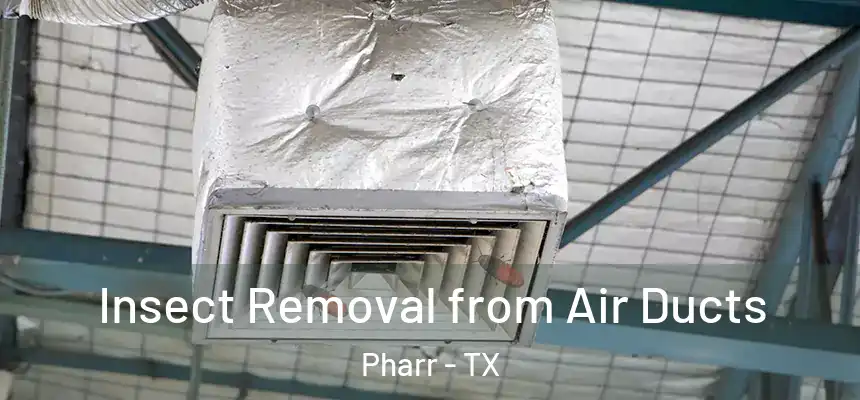  Insect Removal from Air Ducts Pharr - TX