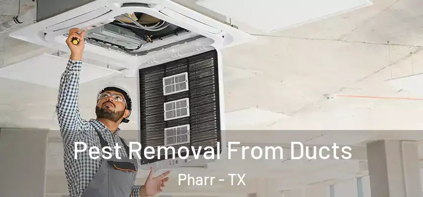 Pest Removal From Ducts Pharr - TX
