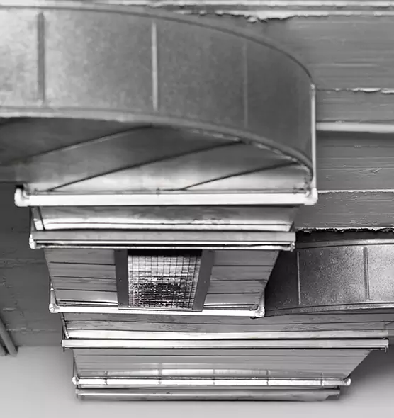 Professional Air Duct Pest Removal in Pharr, TX