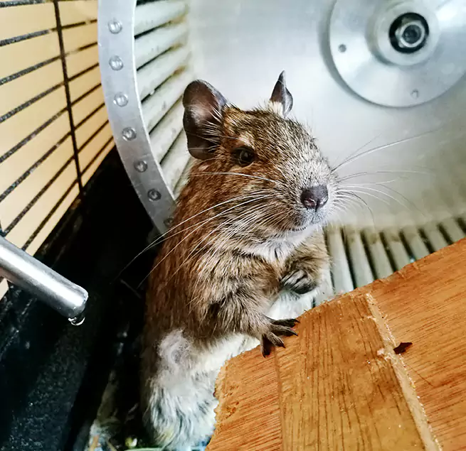 Why Homeowners & Businesses Trust Us Pharr, TX?