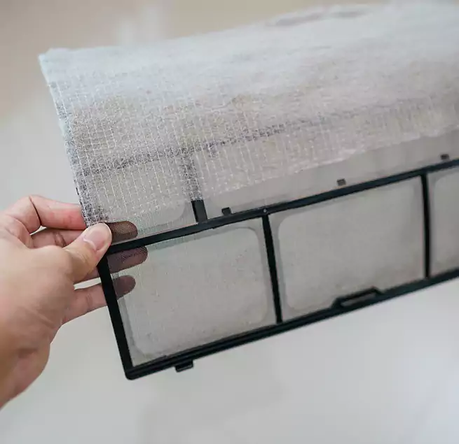 Why Homeowners & Businesses Trust Us in Pharr, TX?