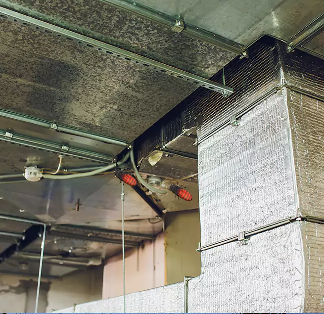 Why Homeowners & Businesses Trust Us Pharr, TX?